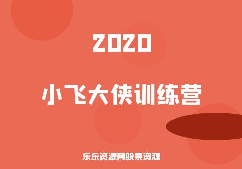 2020年小飞大侠训练营（第1期17节课）-乐乐资源网