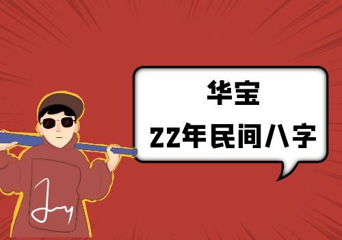 华宝2022年民间八字教学视频-乐乐资源网