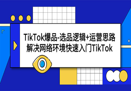 TikTok爆品-选品逻辑+运营思路：解决网络环境快速入门TikTok-乐乐资源网