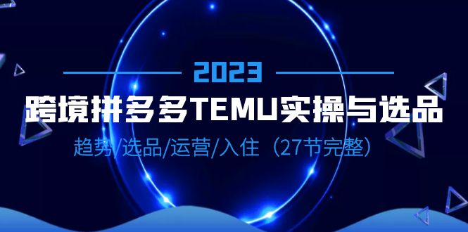 2023跨境·拼多多·TEMU实操与选品，趋势·选品·运营·入住（27节完整）-乐乐资源网