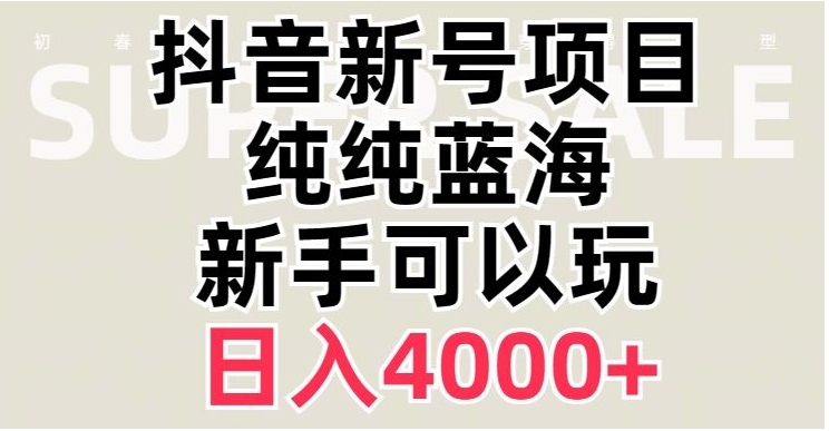 抖音蓝海赛道，必须是新账号，日入4000+【揭秘】-乐乐资源网